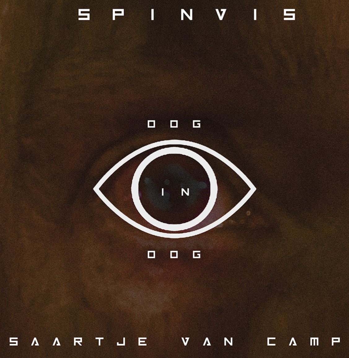 Oog in oog